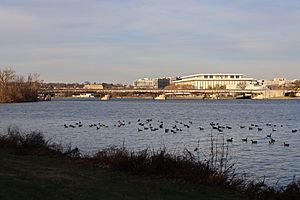 Theodore Roosevelt Bridge 2020c