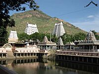 Tiruvannamalai Temple