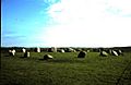 Torehousekie Stone Circle - geograph.org.uk - 1098160