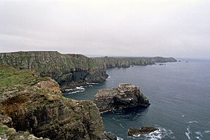 Tory Island Cliffs 2005 08 10