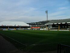 Vetch Field.DSC00100