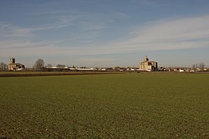 View of Villasandino, 2010