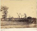 Virginia, Cold Harbor. Extreme line of Confederate Works - NARA - 533369