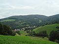 Waldskopf2