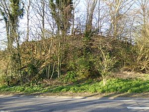 Winchelsea Cutting (2).jpg