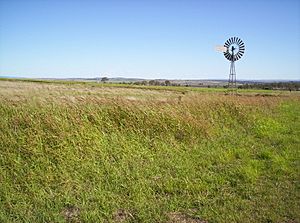 Windmill on the Darling Downs, Queensland