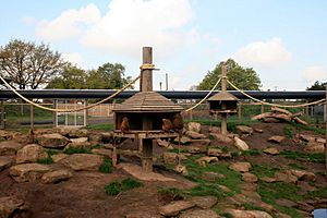 Yorkshire Wildlife Park - Baboon Reserve