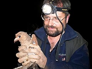 Alex Chionetti holding Tayos bird