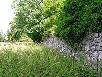 Auchans Castle Walled garden