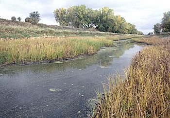 Bois de Sioux.jpg