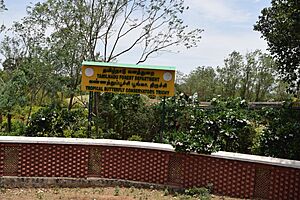 Butterfly park trichy9