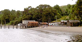 China Camp 3654.jpg