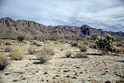 Coloradodesert