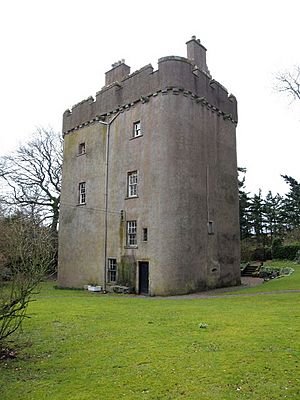 Cranshaws Castle - geograph.org.uk - 142497