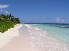 Culebra - Playa de Flamenco