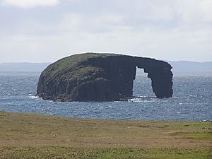 Dore Holm 5829