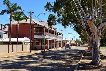 Drovers Inn, Moora, 2016 (02).JPG