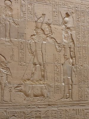 Edfu47