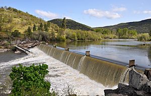 Gold ray dam