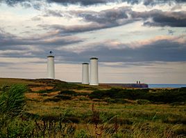 Greater Newtown Head in Tramore