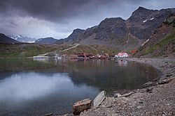 Grytviken20090110-IMG 0743 (16094671225).jpg