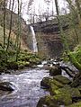 Hardraw Force 2004