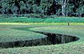 Innoko Refuge Wetlands