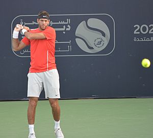 Juan Martin del Potro Dubai 2014