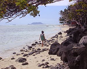 Kaaawa Beach walk