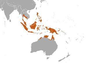 Long-tongued Nectar Bat area.png