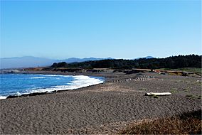 MacKerricher Beach.jpg