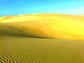 Medanos de Coro Falcon