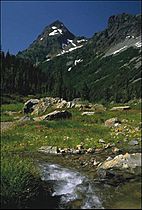 Mount Baker Snoqualmie National Forest