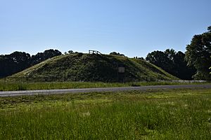 Nanih Waiya By Phil Konstantin