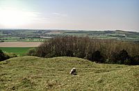 Old Winchester Hill 3 mounds