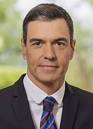 (Top image): Pedro Sánchez staring at the camera with a neutral expression, in a suit and a neck tie with the colors blue, black, & yellow arranged in a tartan like pattern. (Bottom image): Pedro Sánchez' signature