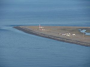 Punta Dungeness Chilean Atlantic Ocean