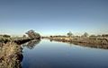 River Tame Hopwas