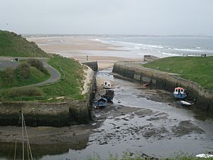 Seaton Sluice Harbour1.JPG