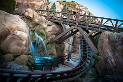 Seven Dwarfs Mine Train.jpg