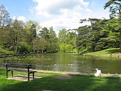 Stratford lake