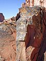 Talampaya petroglyphs