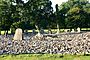 Temple Wood Stone Circles 03.jpg