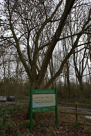 Ufton Fields 1