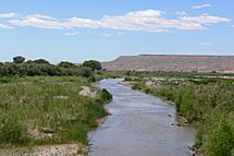 Virgin River 6