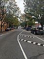 Washington Avenue Chicane