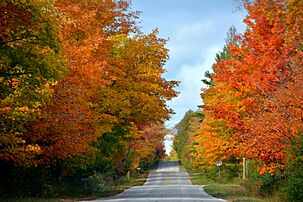 Washington Island