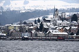 Wollerau - Zürichsee IMG 8368.jpg