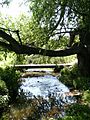 Wombrook in Ham Meadow