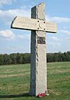 142nd PA Infantry MN045-B.jpg